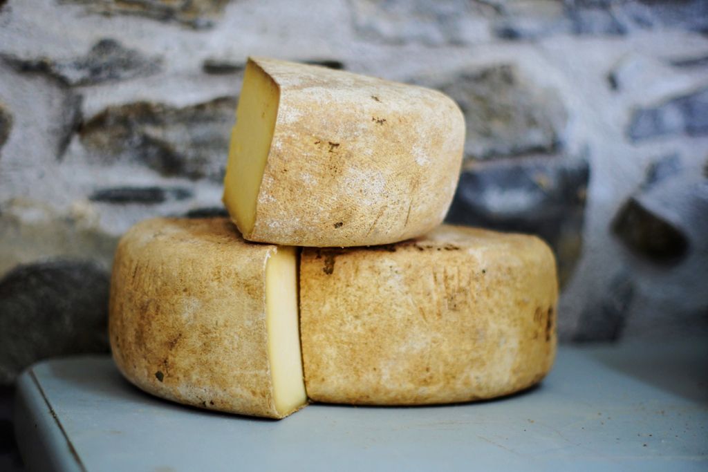 product-cheese